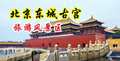 俄罗斯美女肛中国北京-东城古宫旅游风景区